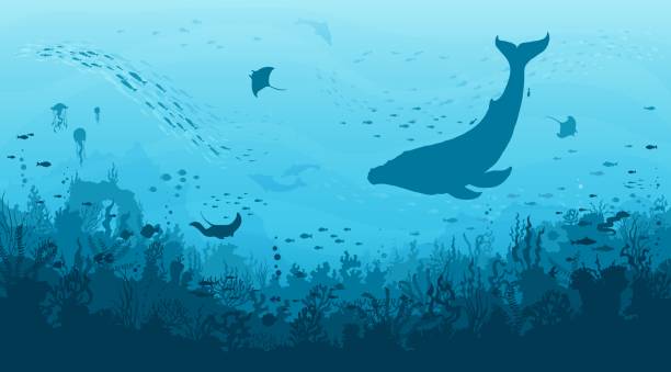 Underwater landscape, sperm whale, fish shoal Underwater landscape, sperm whale, fish shoal and manta ray in seaweeds, vector undersea background. Sea or ocean deep water and coral reef landscape with whale and manta rays on sunken city ruins underwater stock illustrations