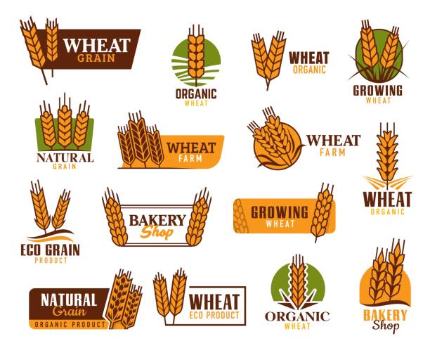 Cereal vector icons with wheat, rice, oat ears Cereal vector icons. Wheat, rice, oat, barley and millet ears. Organic food product, bakery shop and natural cereals farm vector symbols, emblems with wheat, rye or barley ears and spikelets insignia healthy eating gold nature stock illustrations
