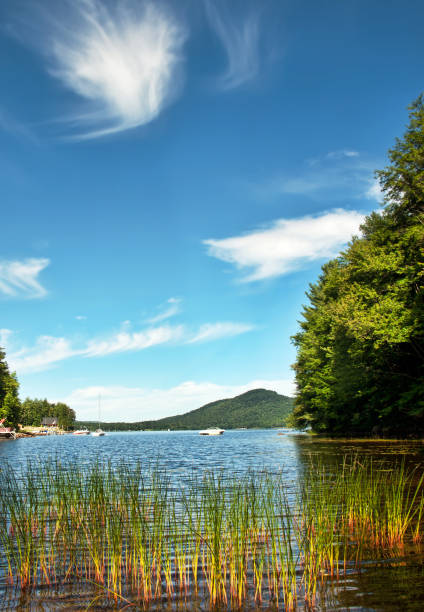 istock Oxbow Lake, near Lake Pleasant 1464081221