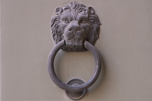 Old metal door knocker as a lions head on a rustic wooden door in italy