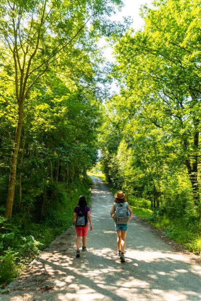 istock Two friends walking along the Urdaibai path 1464083966