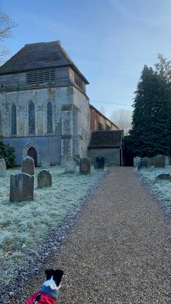 perro helado de la mañana caminando por el patio de la iglesia - suffolk winter england fog fotografías e imágenes de stock