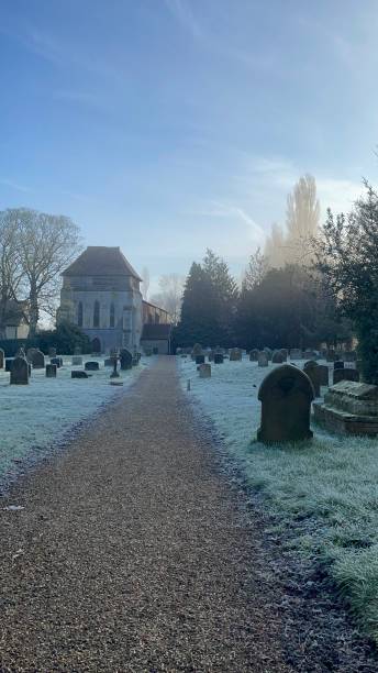 perro helado de la mañana caminando por el patio de la iglesia - suffolk winter england fog fotografías e imágenes de stock