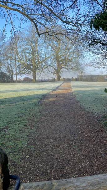 frostiger morgen - suffolk winter england fog fotografías e imágenes de stock