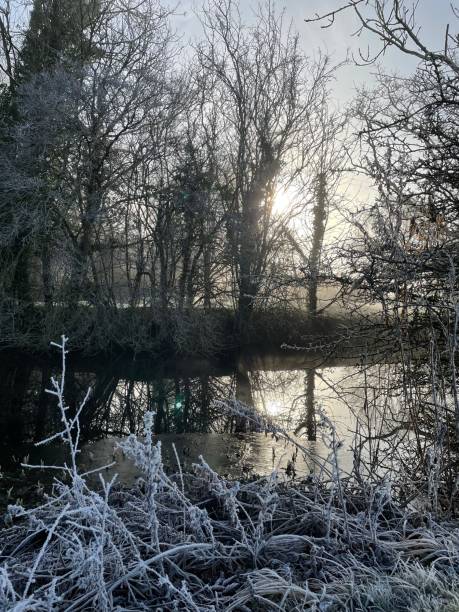 mroźny poranek nad stawem - suffolk winter england fog zdjęcia i obrazy z banku zdjęć