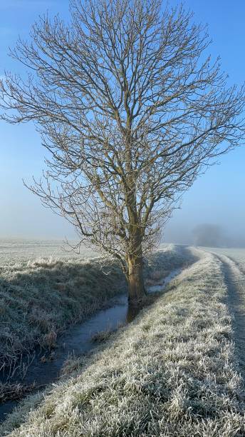 refrescante por la mañana - suffolk winter england fog fotografías e imágenes de stock