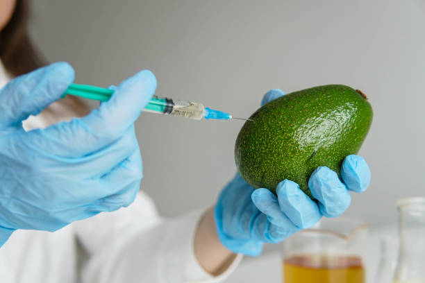 jeune femme portant un uniforme de scientifique s’injectant de l’avocat lors d’une expérience avec des légumes en laboratoire. - food crop sprayer insecticide dna photos et images de collection