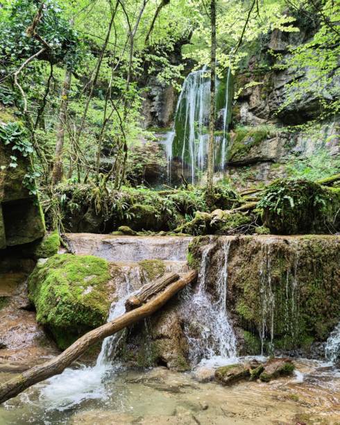 istock Beautiful natural waterfall in the woods 1464094015