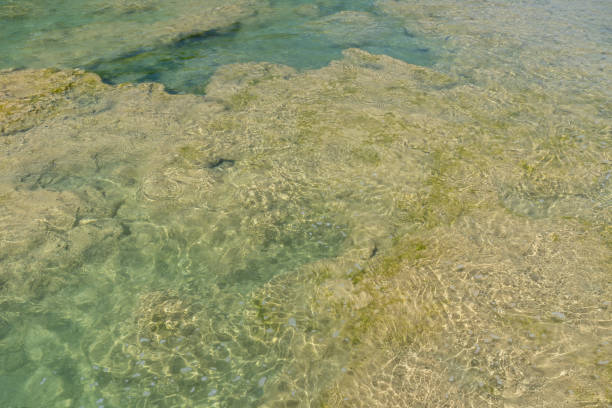 istock Surface under the clean water of the river 1464094129