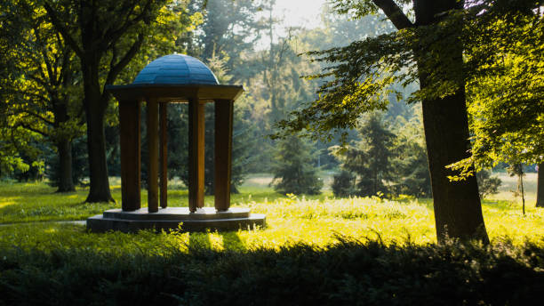 istock Blue-roofed pavilion surrounded by trees at a park 1464094379