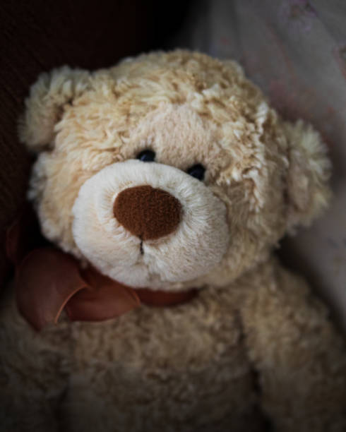 istock Closeup shot of a fluffy bear toy 1464094553