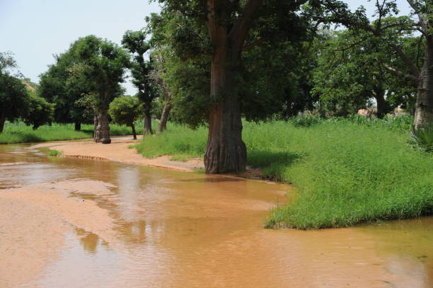 istock Orange sand park with green grass, trees, and a small river 1464094597