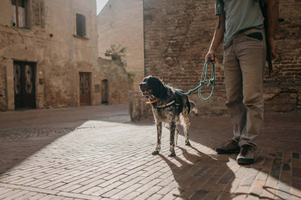 istock Man with dog in old town 1464096828