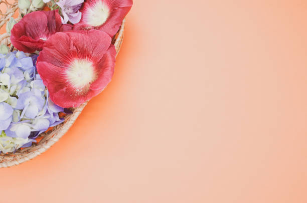 istock Studio shot of bright flowers in a small basket 1464098172