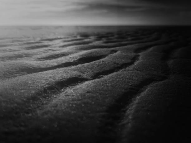 istock Grayscale selective focus shot of a sandy landscape 1464099098