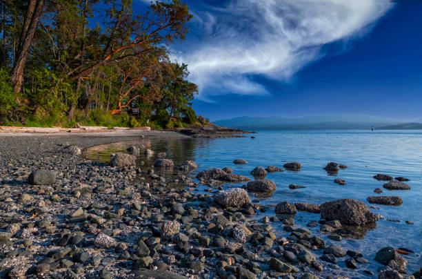 istock Beautiful rocky shore at a tropical beach 1464101315