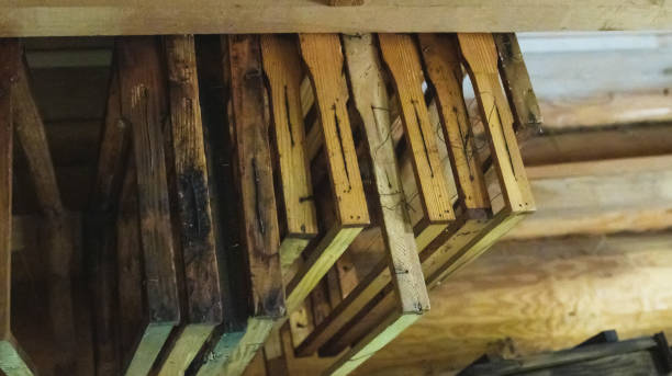 istock Bee frames with sealed combs and honey hang in the shed. Breeding bees, beekeeping, honey extraction, indusrty 1464103930
