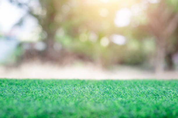 istock Landscape view green grass with blurred bokeh background 1464111671