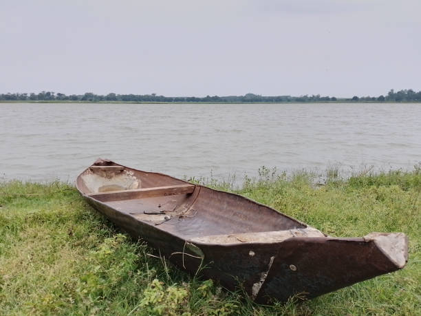 istock The boat pulled up on the edge of a grassy lake. 1464113275