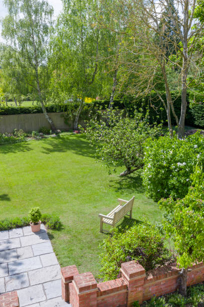 istock Luxury garden in spring with garden bench on lawn, UK 1464113292