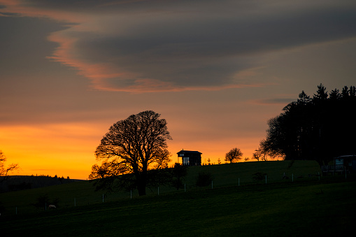 Sun set in Alnwick, North East England. The sky is orange above a field with a tree and cabin.