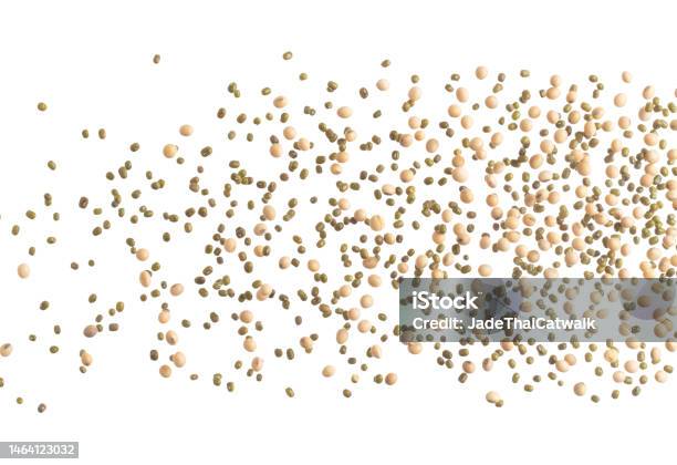 Bean Pod Exploding Mix Green Mung Soy Beans Fall Down Explosion Several Kind Bean Float ...