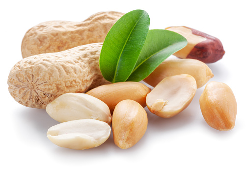 Peanut pods and peanut seeds isolated on white background.