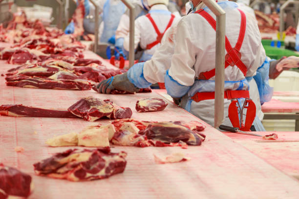 A detailed view of the meat section of a butcher's stall in the Chow Kit Road Market of Kuala Lumpur. A bustling marketplace with vendors and buyers pushing through the tightly-packed stalls.