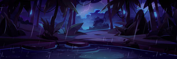 illustrations, cliparts, dessins animés et icônes de pluie tropicale dans la jungle nocturne de la forêt avec marécage - tropical rain forest flash