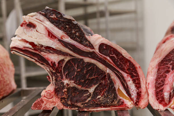 istock Closeup view of black angus primal cut. 1464129403
