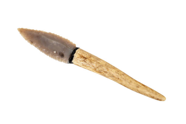 flint knife - stone age tool - leaf blade in deer antler isolated on white background flint knife - stone age tool - one leaf blade in deer antler isolated on white background çatalhöyük stock pictures, royalty-free photos & images