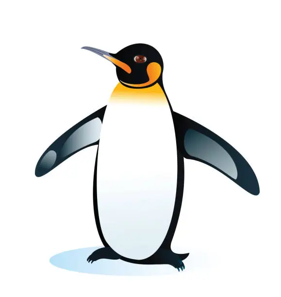 Vector illustration of Emperor Penguin