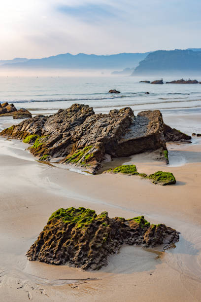 istock Rocks on sunny beach exposed by low tide 1464134346