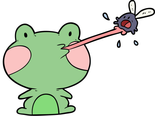 illustrations, cliparts, dessins animés et icônes de mignon dessin animé grenouille attrapant mouche avec la langue - frog animal tongue animal eating