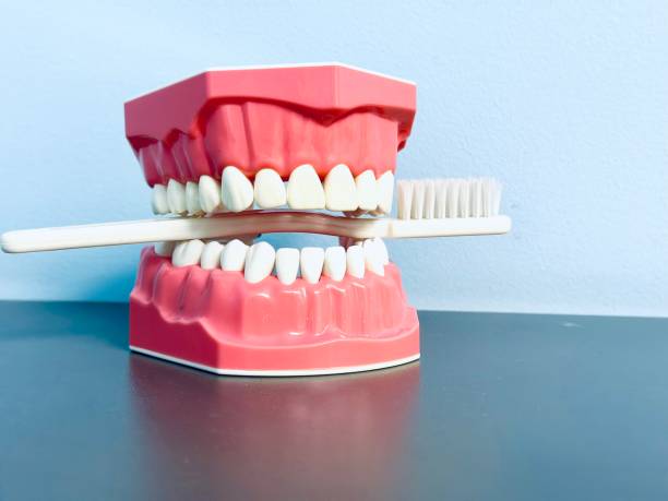 istock Dentist teeth mockup with toothbrush. 1464137413