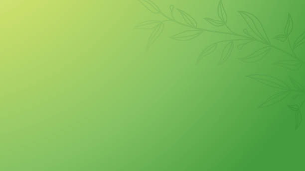 Green abstract leaves pattern background Green abstract gradient leaves pattern background vector. spring banner stock illustrations