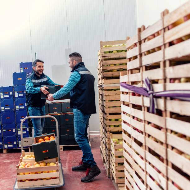 istock Fresh fruits and vegetables in warehouse 1464141598