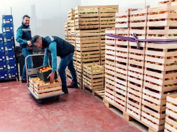 istock Fresh fruits and vegetables in warehouse 1464144719