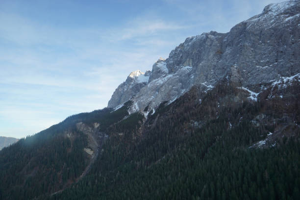 istock Beautiful scenery of pine forest with mountain view. 1464145032