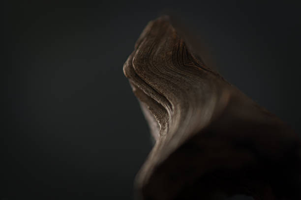 The view is focussed on the driftwood from above and the blunt side. The wood grain runs through the picture with a slight swing. The low light leads the view along the wood grain. It is a macro shot with a low depth of field.