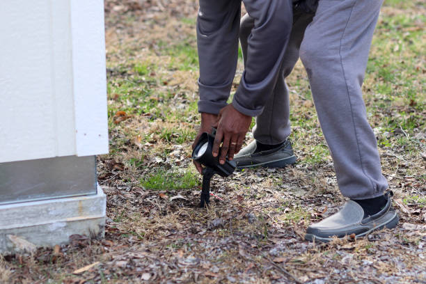 istock A black African-American man installing a solar landscaping light in a lawn 1464149518