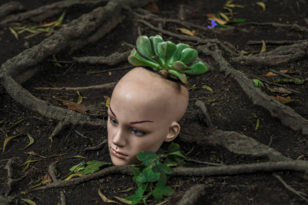 istock Head covered with roots and green leaves 1464150011