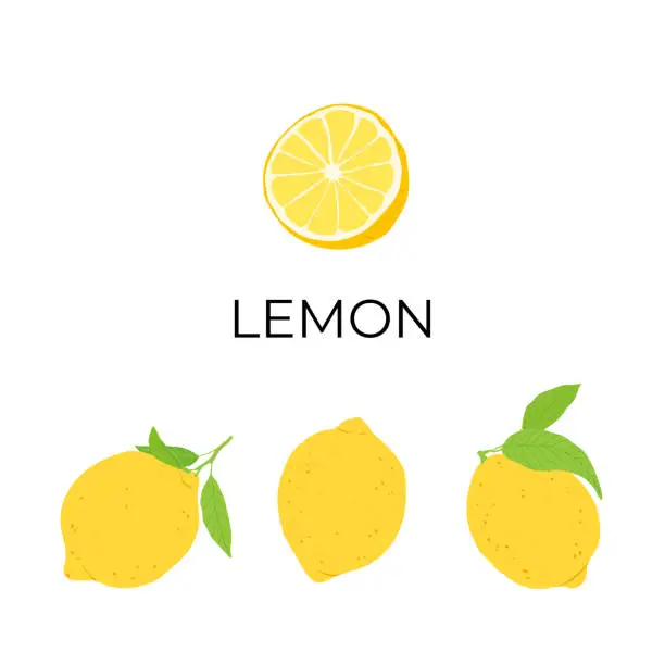 Vector illustration of pattern lemon