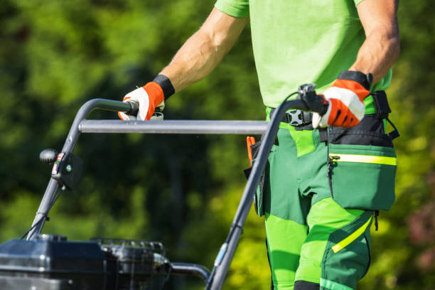 istock Landscaper Using Lawn Aerating Equipment 1464153325