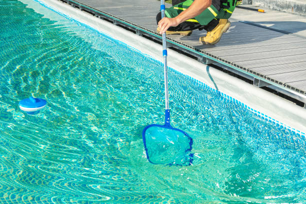 istock Cleaning Swimming Pool with Skimmer Net 1464153412