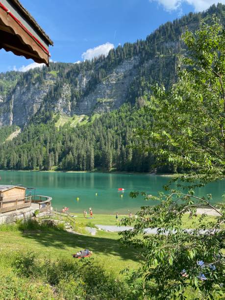 istock Lake Montriond Summer 1464154334