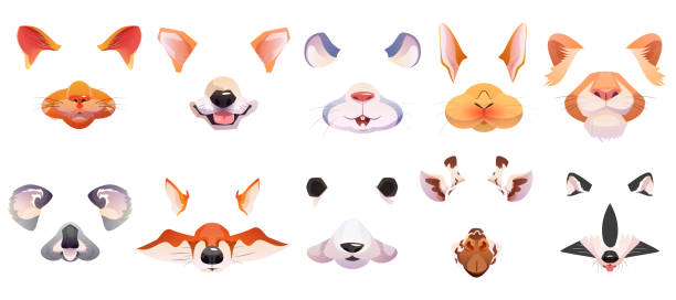 ÐоÑÐ´Ñ Ð¼Ð°Ñки живоÑнÑе Cartoon set of face filter with cute animal masks for selfie photo or video chat. Ears and nose of cat, dog, fox, raccoon, rabbit, lion, koala, mouse and giraffe for mobile phone app or social content bunny ear stock illustrations