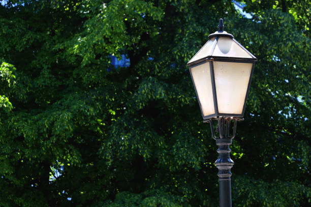 Vintage street lamp and lush tree with green leaves. Selective focus.
