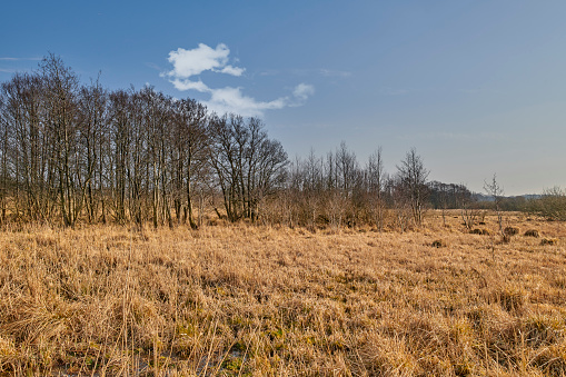 Dike in a green grassy field in sunlight under a blue sky in autumn, Almere, Flevoland, The Netherlands, September 24, 2020