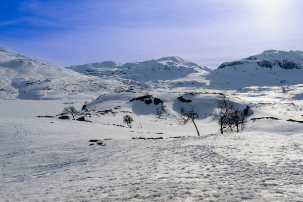 ハウケリフィエルは、スカンジナビアの南ノルウェーにある山岳地帯と峠です。 - telemark skiing ストックフォトと画像